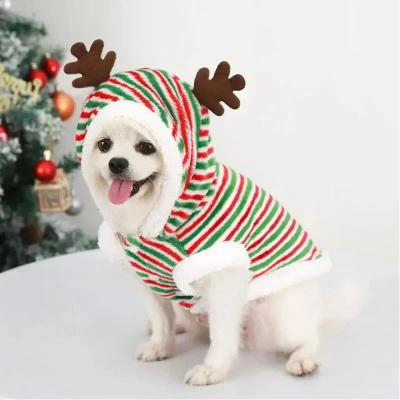 Warm Christmas Outfit for Small Dogs, view 5