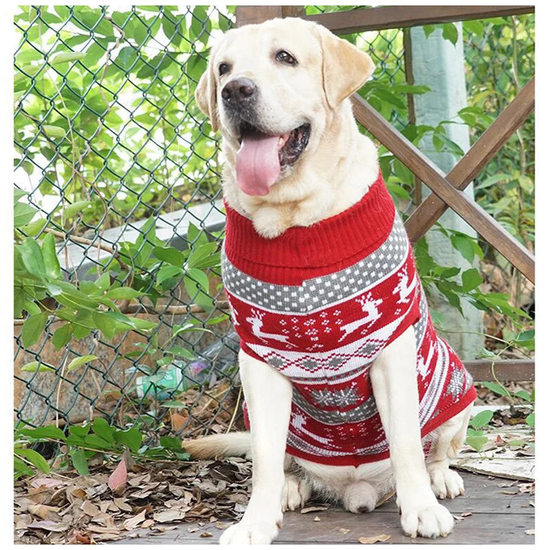 Reindeer Christmas Dog Sweater, view 4